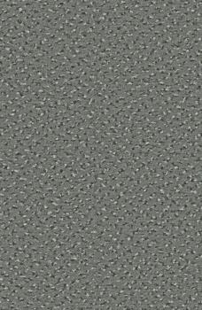 Preview: Rechteckbild vom Alexis